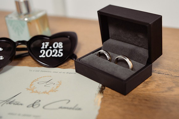 Camelia & Adrian-1004