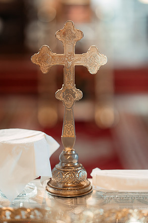 Alex & Anabela-1003