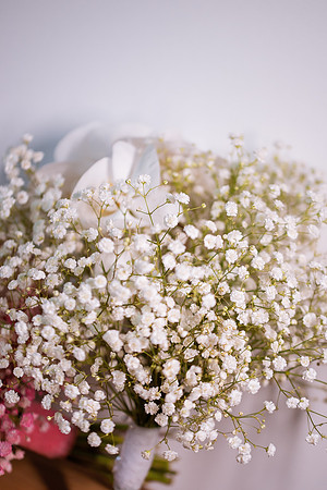Diana & Alex-1118