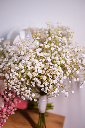Diana & Alex-1117