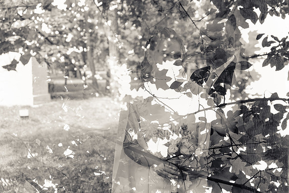 Fotografii-nunta-1205