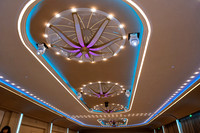 Party-116