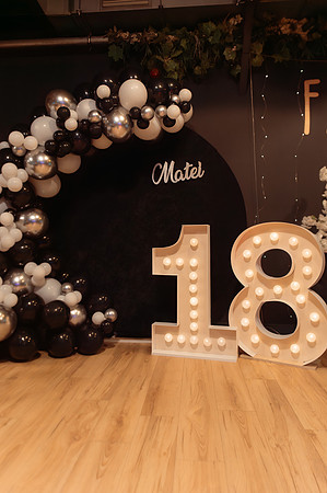 Majorat Matei-1145