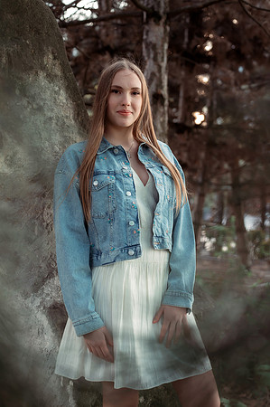 Grad Ilinca-124