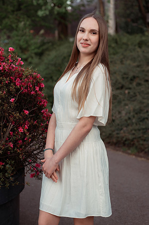 Grad Ilinca-132