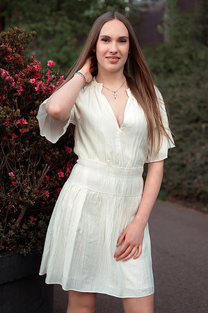 Grad Ilinca-131