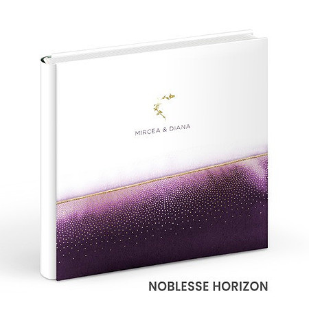NOBLESSE-H1