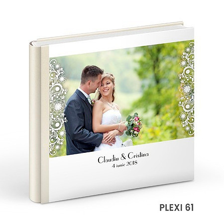 PLEXI-61