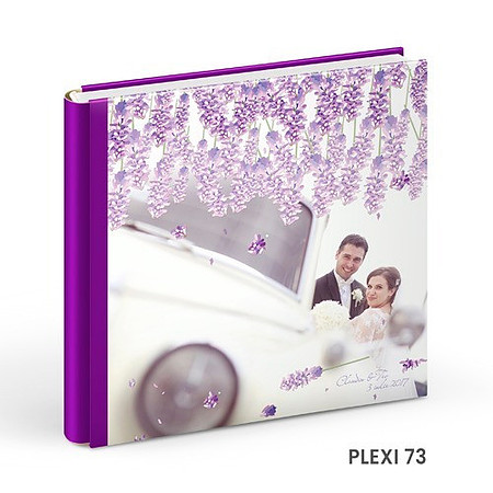 PLEXI-73