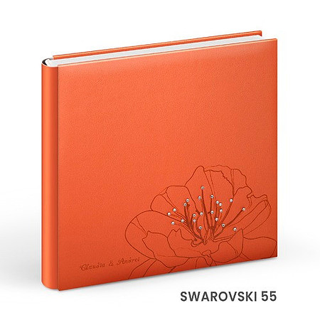 SWAROVSKI_55