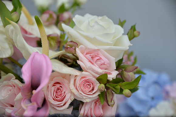 Catalin & Izabella_1306