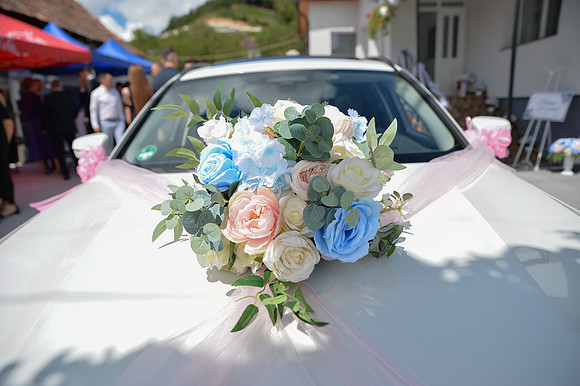 Catalin & Izabella_1479
