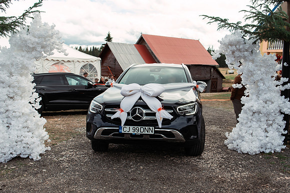 Bogdan & Nadia-1397