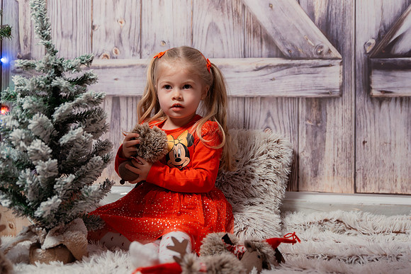 Sedinta foto-1026