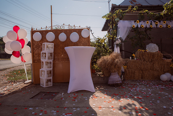 Marius & Cristina_1204