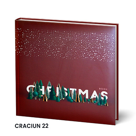 CRACIUN-22