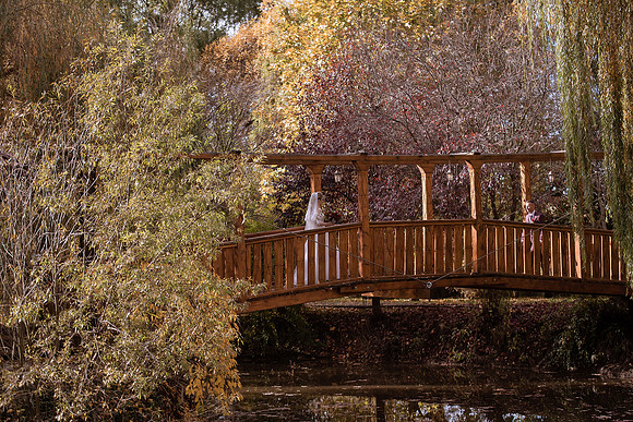 Cosmin & Iulia-1620