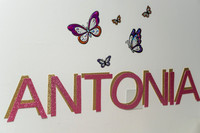 Botez Antonia_2009