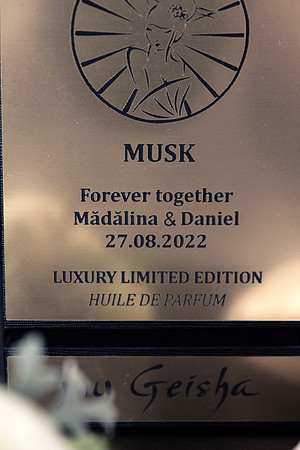 Madalina-Daniel-0170