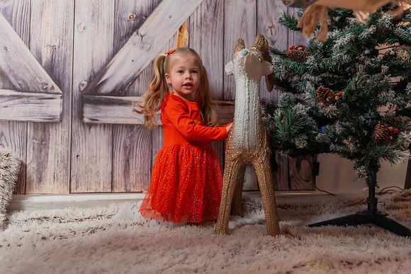 Sedinta foto-1027