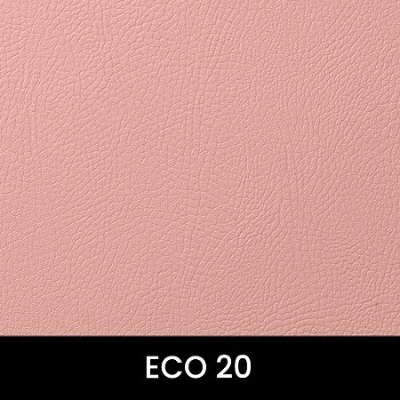 Eco-20_