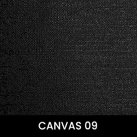 Canvas-09_