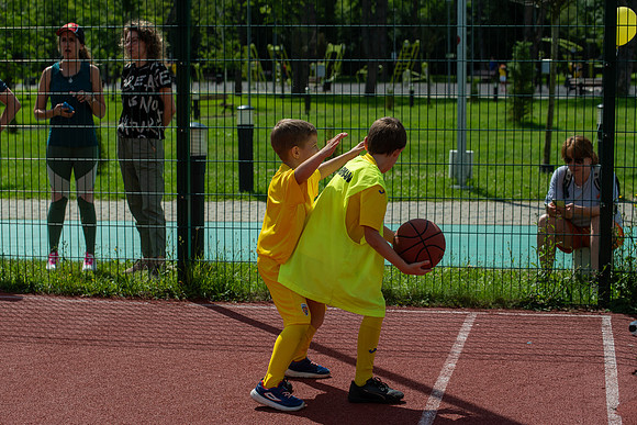 George Coșbuc-1104