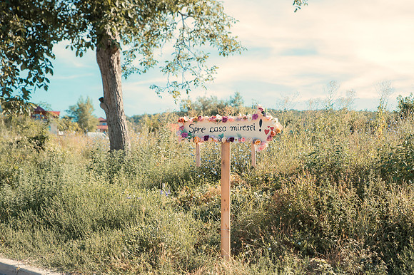 Dumitru & Andreea_1195