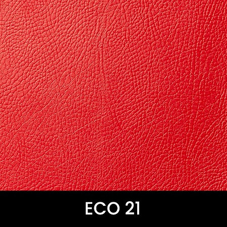 Eco-21_