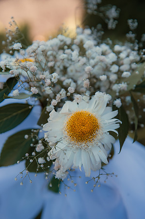 Dumitru & Andreea_1375