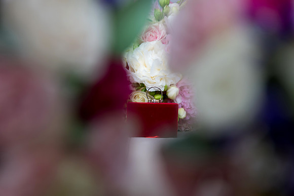 Fotografii-nunta-5180