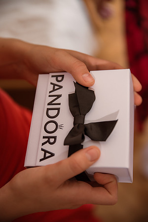 Diana & Raul_1258_