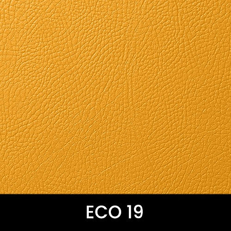 Eco-19_