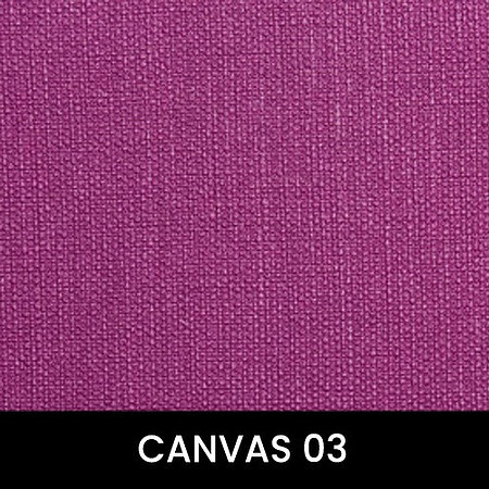 Canvas-03_