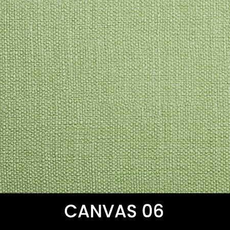 Canvas-06_